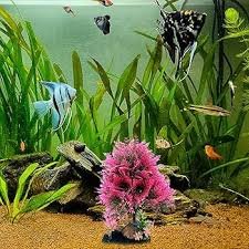 Pianta Artificiale per Acquario con Base in Ceramica