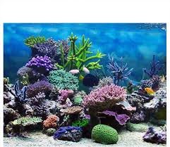 Joyzan Sfondo Acquario 3D: Decorazioni Marine Colorate