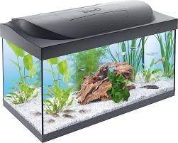 Set Completo Acquario LED Tetra Starter Line