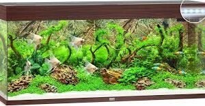 Aquario Juwel Rio 240 LED in Legno Scuro