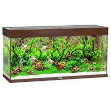 Acquario Juwel Rio 240 Completo con Accessori e Filtrazione