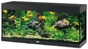 Acquario Juwel Rio 240 Completo con Accessori e Filtri