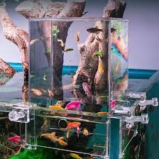 Acquario Torre Invertito in Acrilico