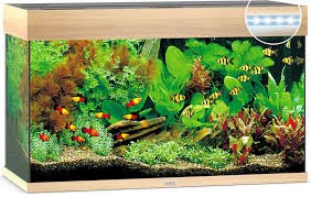 Acquario Juwel Rio 125 LED in Legno Chiaro