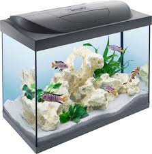 Set Completo Acquario Tetra Starter Line con Illuminazione LED