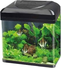 Acquario Billy 30 Nero - 30 Litri
