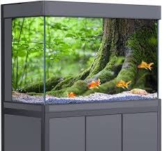 Sfondo 3D Foresta Tropicale per Acquario