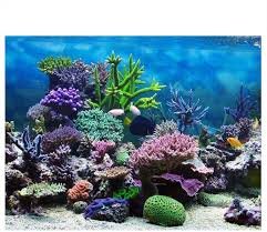 Poster Sfondi Acquario Adesivo PVC Sottomarino