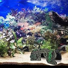 Nizirioo: Decorazione Elegante per Acquario