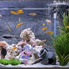 Piante Acquatiche Realistiche WOTEG - Set da 10 con Base in Ceramica