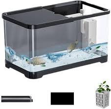 Piccolo Acquario: Kit di Avviamento e Decorazione