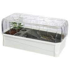 Kit Completo per Tartarughe: Serbatoio e Habitat Multiuso