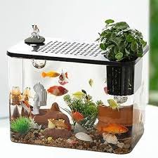 Gabbia Habitat Dualoai con Acquario e Alimentatore Visibile per Rettili