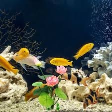 Ornamento Subacqueo Imtrub per Acquario