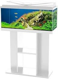 Acquario LED Ciano WHITE Aqua 80 - Set Completo in Vetro Tropicale