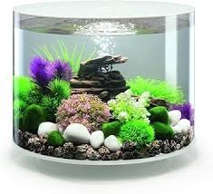 ACQUARIO TUBE 35 MCR Bianco - biOrb Art. 45975