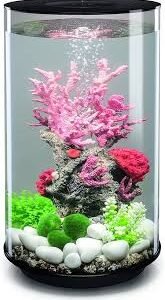 Acquario Oase 45960 LED 30L con Illuminazione