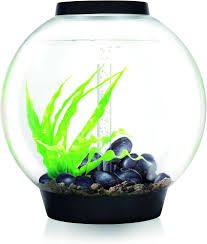 biOrb CLASSIC 60: Sfera LED per Acquario da 60 litri