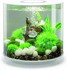 Acquario Oase biOrb TUBE 15 con Illuminazione LED - Bianco