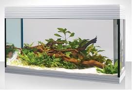 Askoll Acquario KIT XL BIANCO PURO