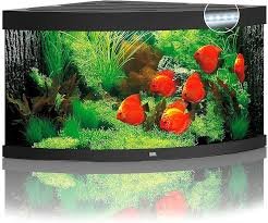 Acquario Trigon 350 LED JUWEL: Stile e Natura per i Tuoi Pesci