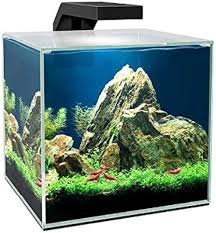 Acquario Cube 5 LED Ciano