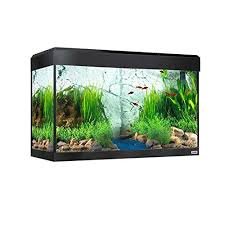 Kit Acquario Fluval Roma 125L con Illuminazione LED Bluetooth