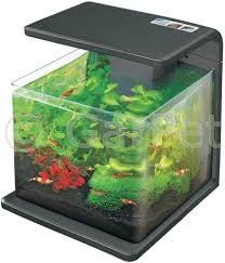 Acquario Biotop Deluxe ICA e15 N Nano