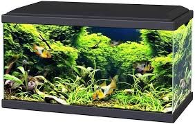 Acquario Aqua 60 LED Nero con Allestimento Completo