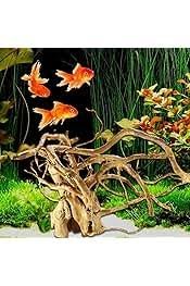 Legni d'Arredo per Acquario: Risparmia con Stile