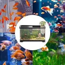 Kit Decorativo per Acquario di Acqua Salata