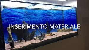 Acquario da Parete: Design e Natura