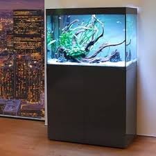 Amtra Alux 330 LED: Acquario Professionale da 330L con Mobile in Legno