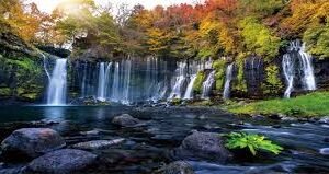 Cascata Autunnale per Acquario e Terrario - MIRRORANG 76x46cm
