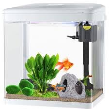 Acquario Rettangolare 15 Litri con Filtro e Luce LED