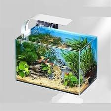 Acquario Premium Ultra Trasparente per Pesci e Tartarughe