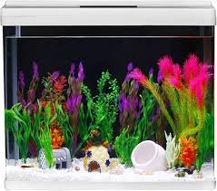 Acquario Rettangolare per Casa e Ufficio
