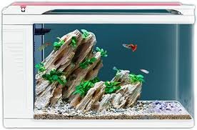 Acquario Acrilico Senza Manutenzione