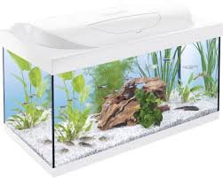 Acquario Tetra Starter Line LED 54L Bianco