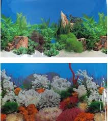 Strumento Durevole 60 cm per Acquario: Corallo Marino e Acqua Dolce
