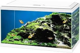 Aquario Ciano Aqua 60 Plus LED Bianco 65L