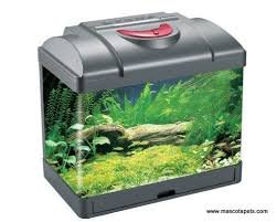 Kit Acquario 26L Nero con LED