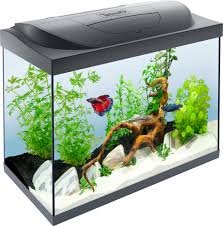 Acquario Tetra Starter Line 80L