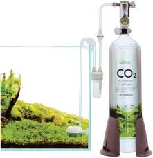 Impianto CO2 per Acquario 0.5LT - Ista