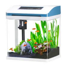 Mini Acquario di Vetro 7.5L per Iniziare