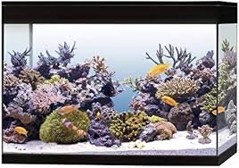 Acquario Pure Marine High Cube Completo Askoll