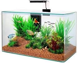 Kit Acquario Aqua Clear 50 Zolux