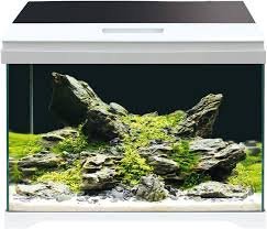 AMTRA MODERN TANK 50 LED - Acquario Completo con Illuminazione