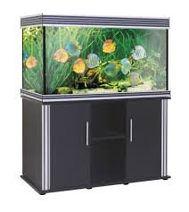 Acquario Design Wave A2001832 - Eleganza per il Tuo Ambiente