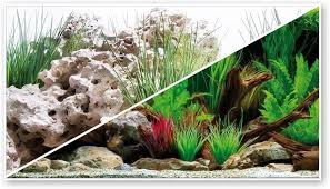 Amtra Wonder - Poster Decorativo per Acquario